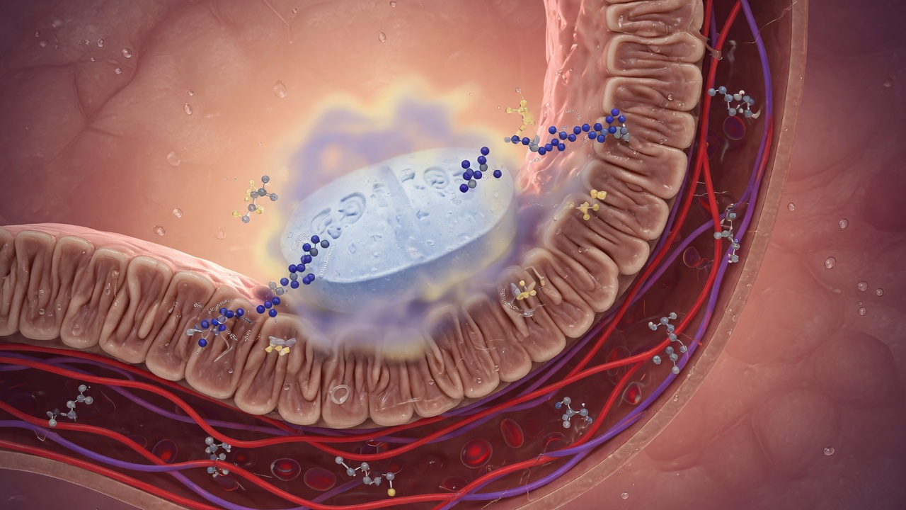 What Does the Semaglutide Absorption Process Look Like?